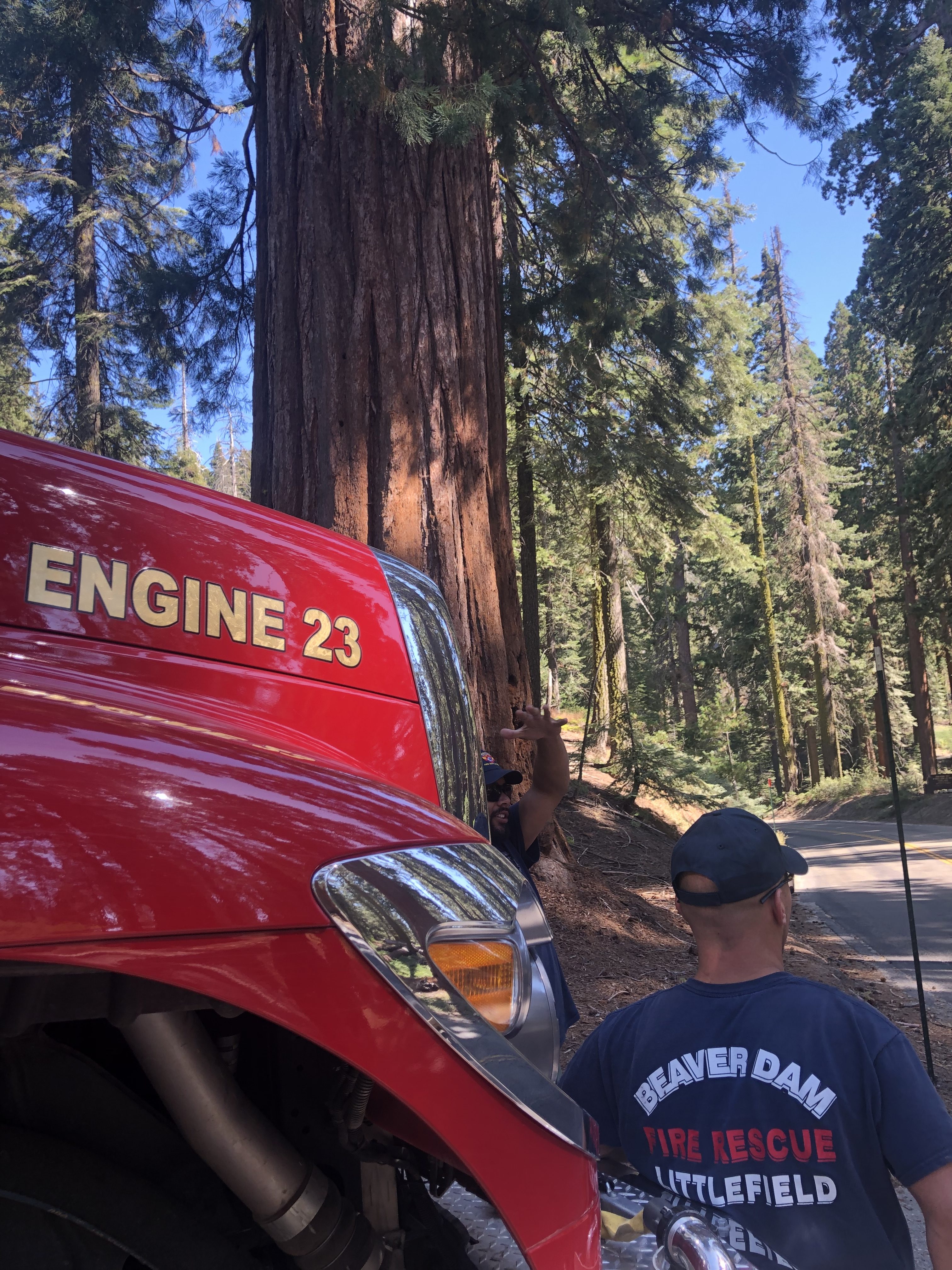 -Wildland 2019 –                Sierra National Forest